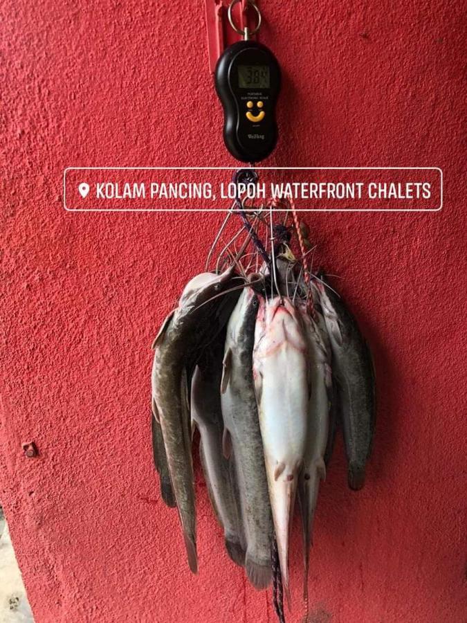 Lopoh Waterfront Budget Chalets Villa Hulu Langat Ngoại thất bức ảnh