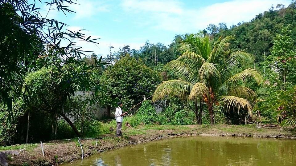 Lopoh Waterfront Budget Chalets Villa Hulu Langat Ngoại thất bức ảnh