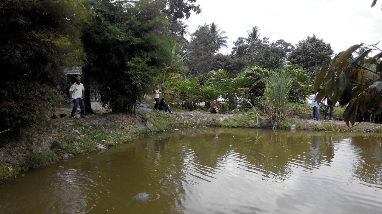 Lopoh Waterfront Budget Chalets Villa Hulu Langat Ngoại thất bức ảnh